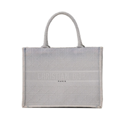 Christian Dior Medium Book Tote