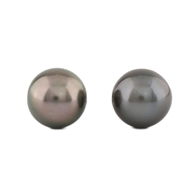 10.1-10.2mm Tahitian Pearl Studs