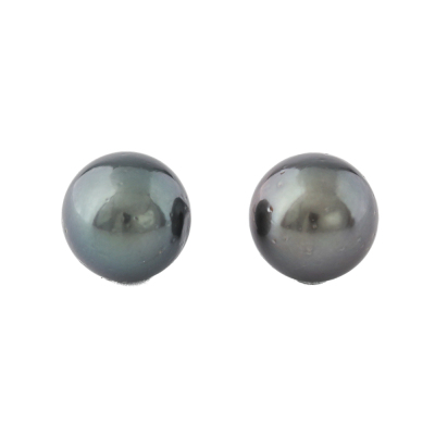 11.4mm Tahitian Pearl Stud Earrings