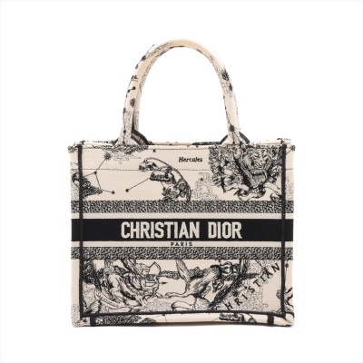 Christian Dior Small Book Tote