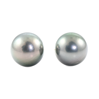 10.0-10.2mm Tahitian Pearl Earrings
