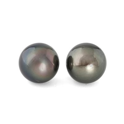 11.3-11.4mm Tahitian Pearl Stud Earrings