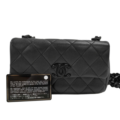 Chanel Small My Everything Flap Bag