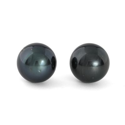 11.1mm Tahitian Pearl Studs