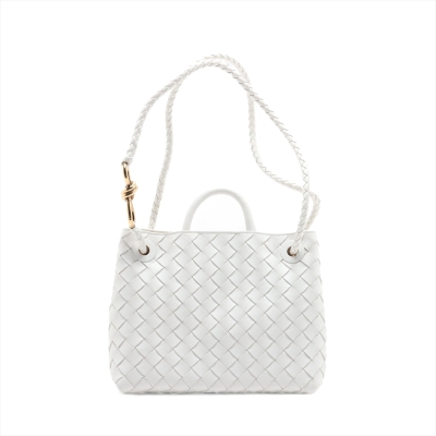 Bottega Veneta Small Andiamo Bag