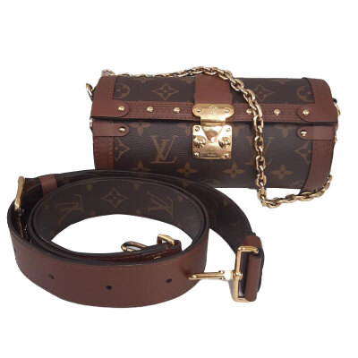 Louis Vuitton Monogram Papillon Trunk Bag