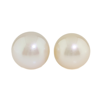 14.5mm-15.1mm South Sea Pearl Studs*