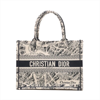 Christian Dior Medium Book Tote