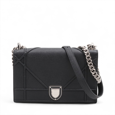 Christian Dior Diorama Bag