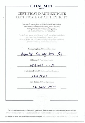 Bee De Chaumet Diamond Bracelet - 4