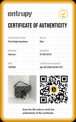 Christian Dior Mini Saddle with Strap - 10