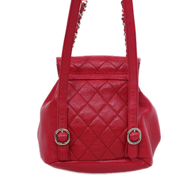 Chanel Small Duma Backpack - 2