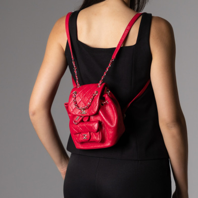 Chanel Small Duma Backpack - 6