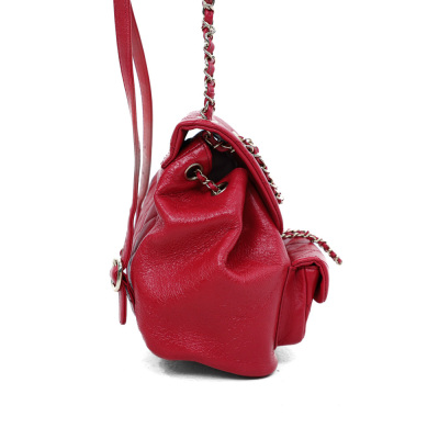 Chanel Small Duma Backpack - 9