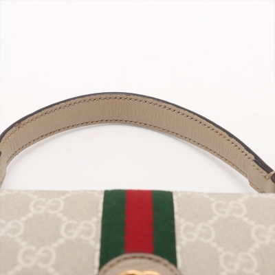 Gucci Web Ophidia Top Handle Bag - 14