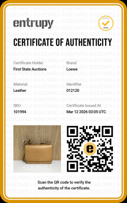 Loewe Medium Goya Bag - 14