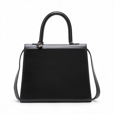 Delvaux Brillant MM - 2