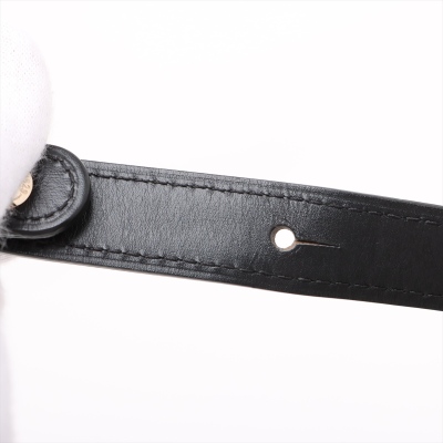 Delvaux Brillant MM - 6