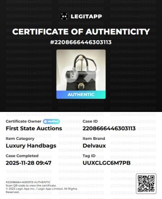 Delvaux Brillant MM - 11