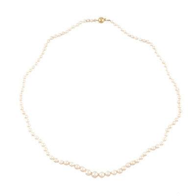7.3-3.6mm Akoya Pearl Stand Necklace - 2
