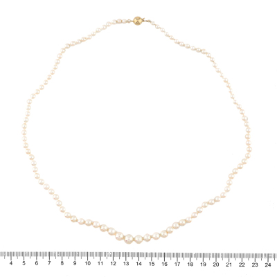 7.3-3.6mm Akoya Pearl Stand Necklace - 3