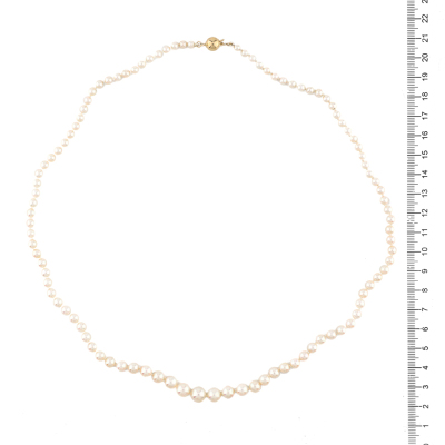 7.3-3.6mm Akoya Pearl Stand Necklace - 4