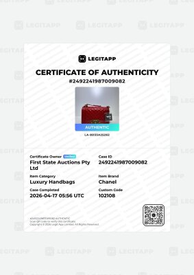 Chanel Boy Chanel 20 - 12