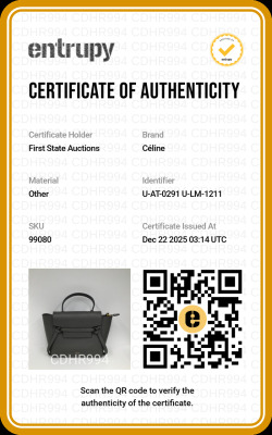 Celine Nano Belt Bag - 3