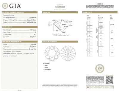 1.01ct Loose Diamond GIA F VS1 - 2