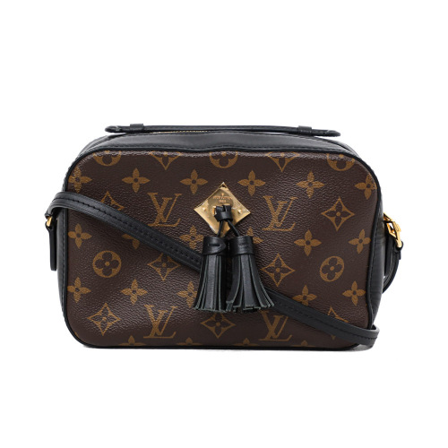 Louis Vuitton Saintonge Bag