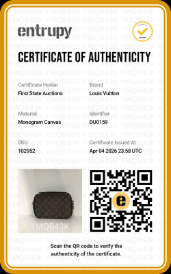 Louis Vuitton Saintonge Bag - 11