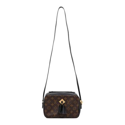 Louis Vuitton Saintonge Bag - 12