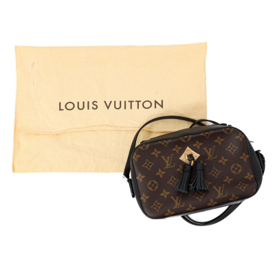 Louis Vuitton Saintonge Bag - 13