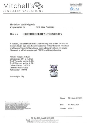 28.52ct Kunzite, Garnet & Diamond Ring - 3