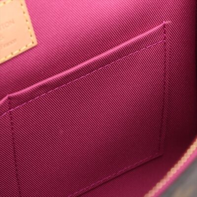 Louis Vuitton Monogram Cluny BB - 9