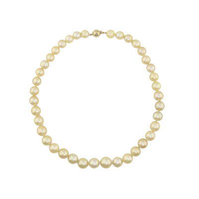 14.0-10.2mm Golden South Sea Pearl Strand Necklace - 2