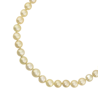 14.0-10.2mm Golden South Sea Pearl Strand Necklace - 3