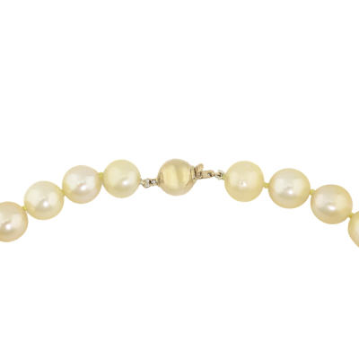 14.0-10.2mm Golden South Sea Pearl Strand Necklace - 4