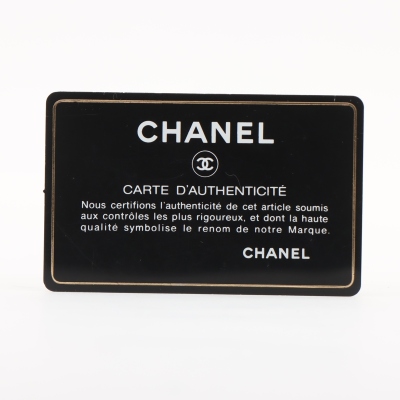 Chanel Mini Crystal Pearls Chain Flap Bag - 9