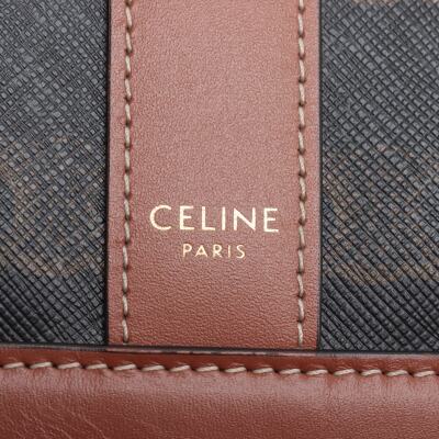 Celine Triomphe Small Bucket Bag - 8