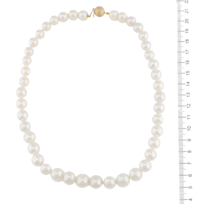 South Sea Pearl Strand Necklace 11.1-8.4mm - 3