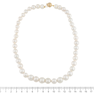 South Sea Pearl Strand Necklace 11.1-8.4mm - 5