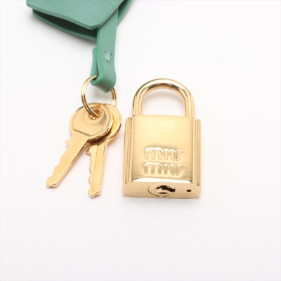 Miu Miu Small Arcadie Bag - 10