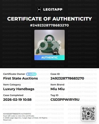 Miu Miu Small Arcadie Bag - 12