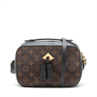 Louis Vuitton Monogram Saintonge Bag