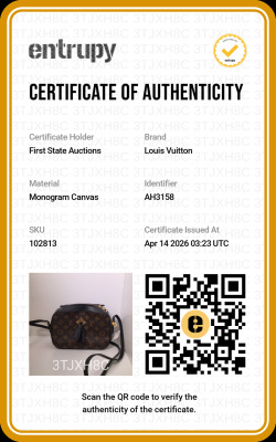 Louis Vuitton Monogram Saintonge Bag - 8