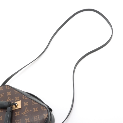 Louis Vuitton Monogram Saintonge Bag - 12