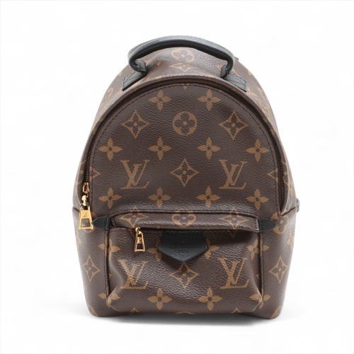 Louis Vuitton Palm Springs Backpack