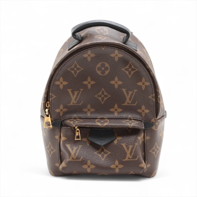 Louis Vuitton Palm Springs Backpack