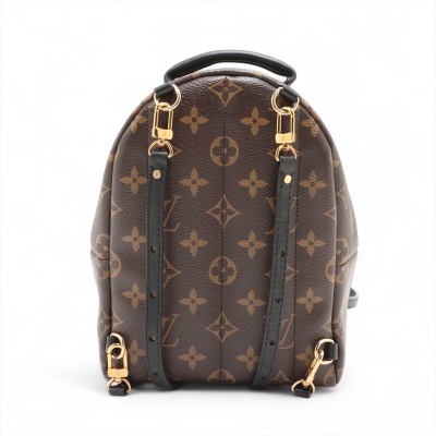 Louis Vuitton Palm Springs Backpack - 2
